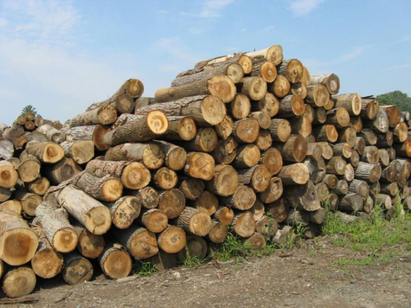 L.W. Jones Firewood and Logging