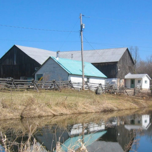 Ferme Ouellette Farm